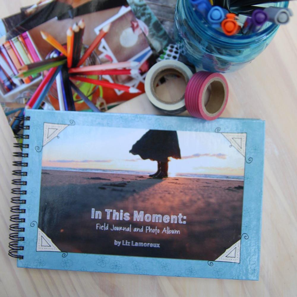 in this moment: field journal and photo album